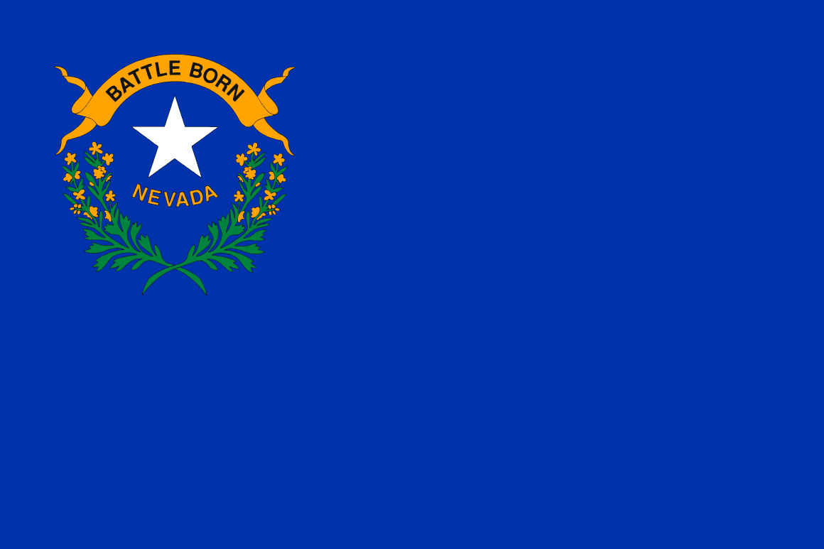 Nevada Bedsore Lawsuit
